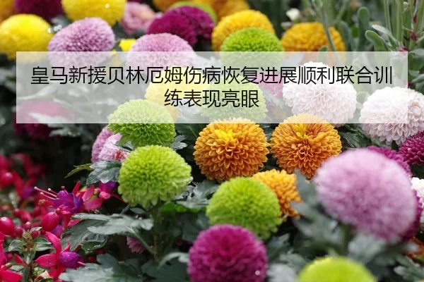 huang-ma-xin-yuan-bei-lin-e-mu-shang-bing-hui-fu-jin-zhan-shun-li-lian-he-xun-lian-biao-xian-liang-yan-1-278.jpg